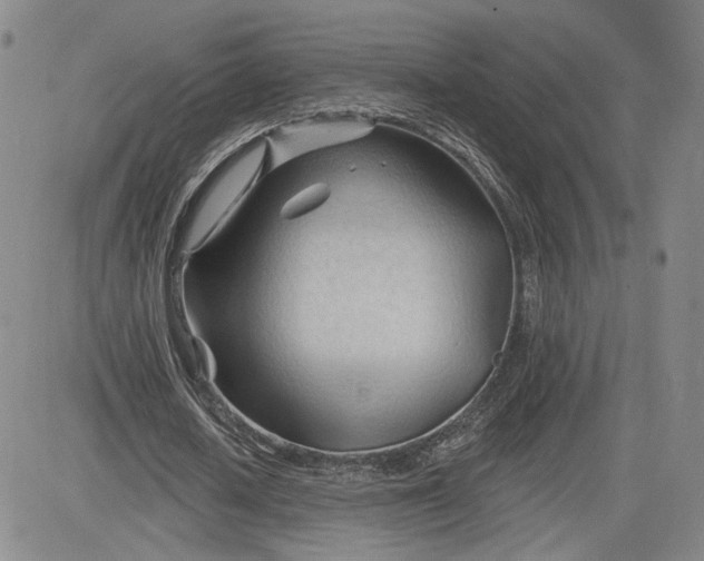 X0000083610626200702260928