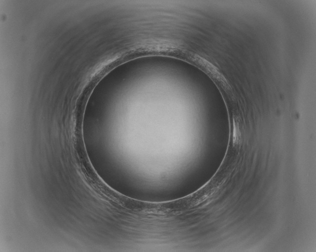 X0000083610627200702260928