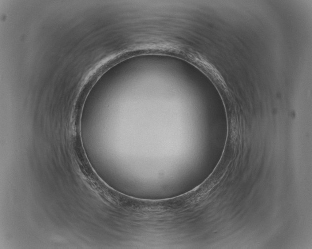 X0000083610628200702260928