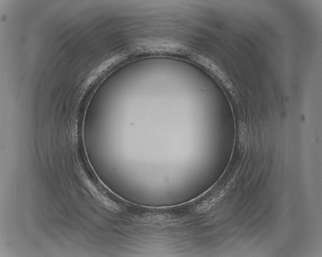 X0000083610629200702260928