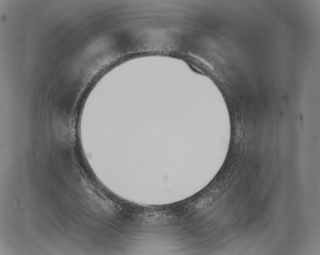 X0000083610632200702260929