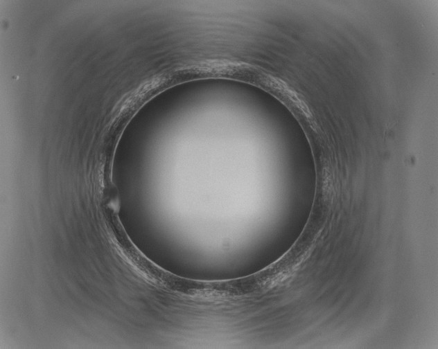 X0000083610633200702260929