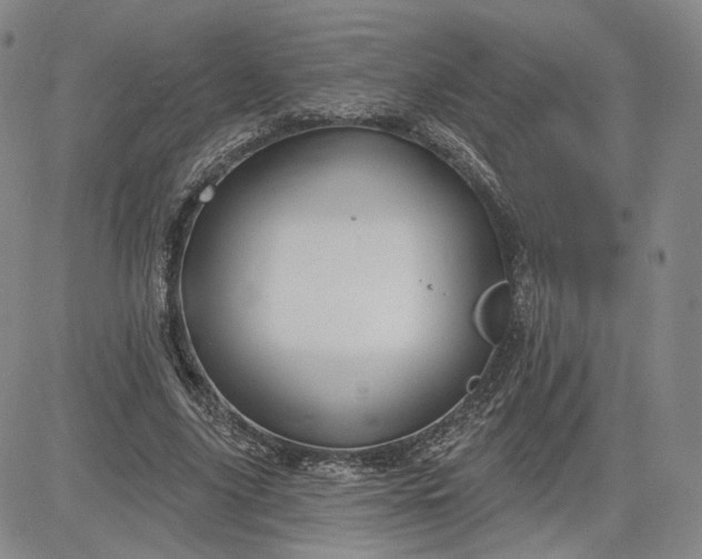 X0000083610635200702260929