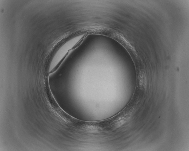 X0000083610637200702260929