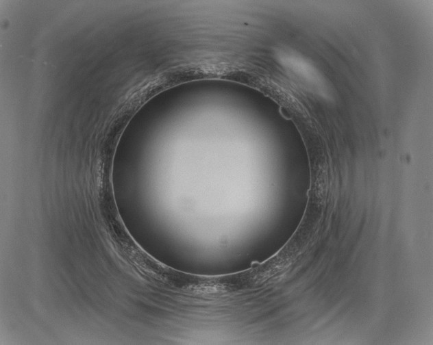 X0000083610639200702260929