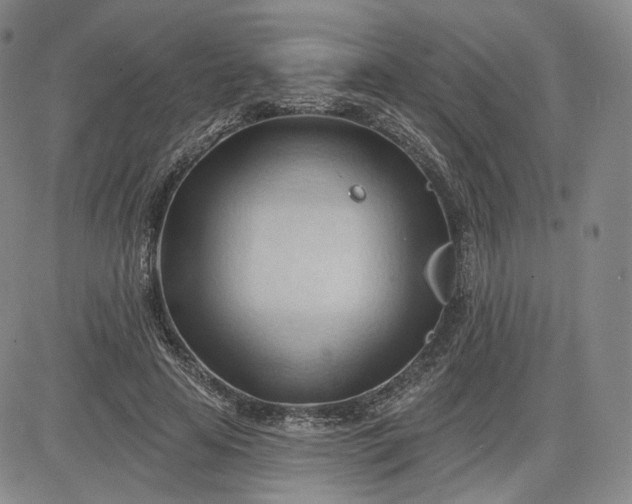 X0000083610641200702260929