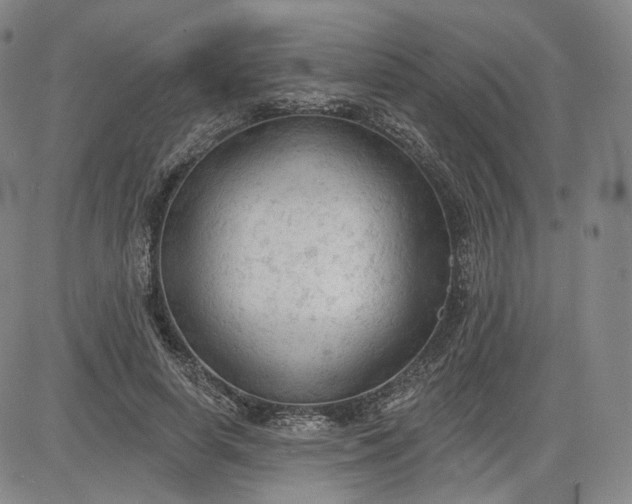 X0000083610642200702260929