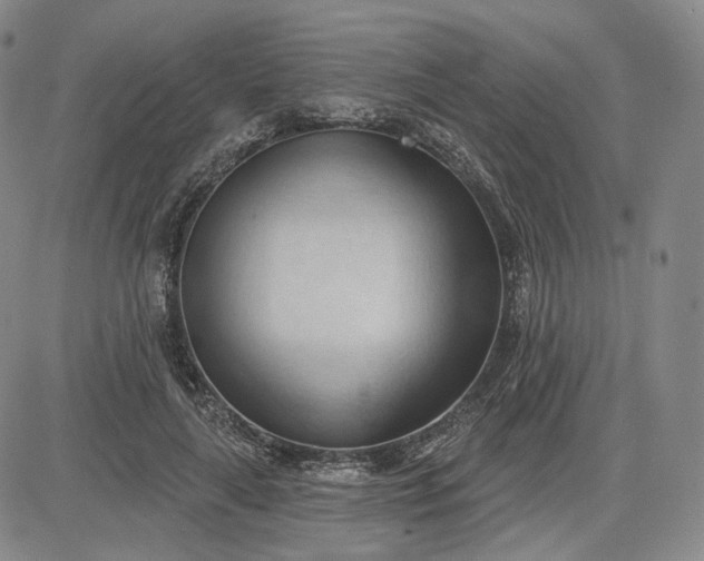 X0000083610643200702260929