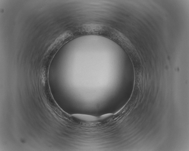 X0000083610644200702260929