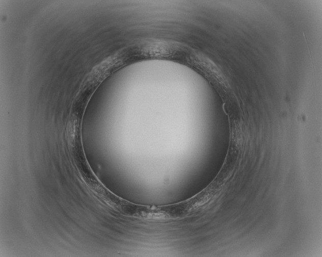 X0000083610645200702260929