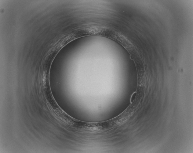 X0000083610646200702260929