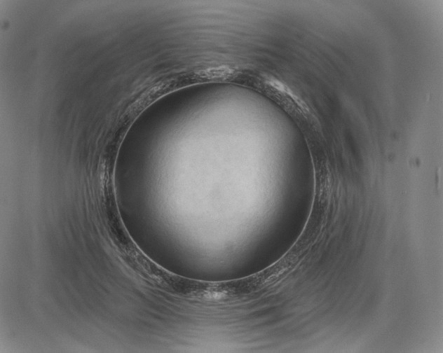 X0000083610647200702260929