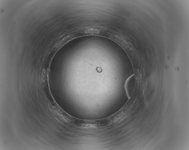 X0000083610649200702260929