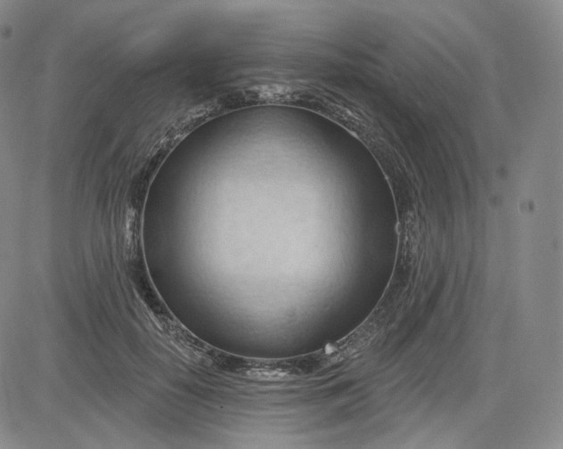 X0000083610650200702260929