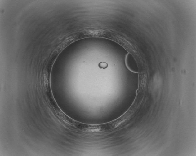 X0000083610651200702260929