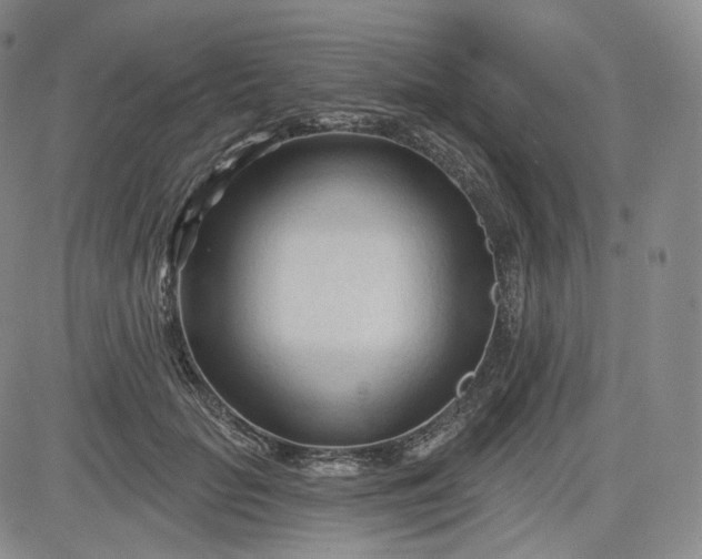 X0000083610653200702260929