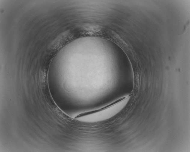 X0000083610657200702260929