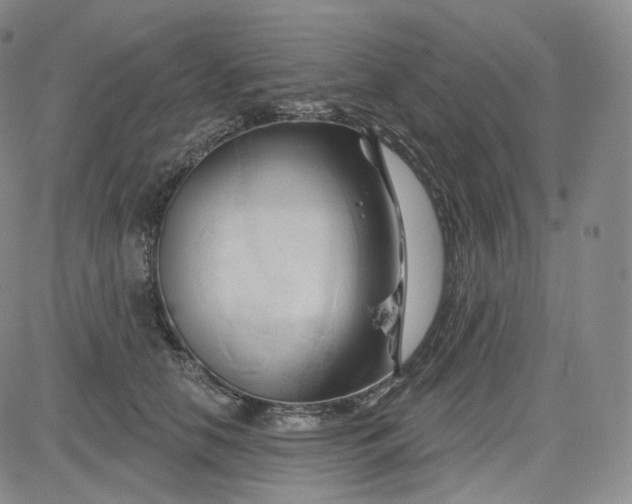 X0000083610658200702260929