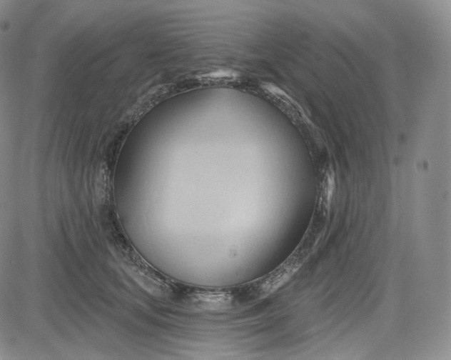 X0000083610659200702260929