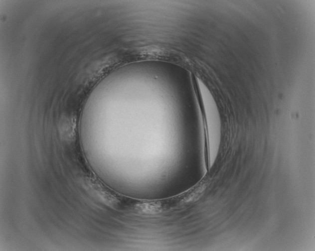 X0000083610660200702260929