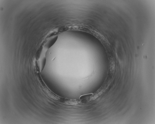 X0000083610661200702260929