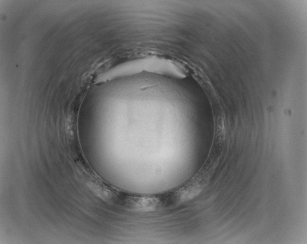 X0000083610663200702260929