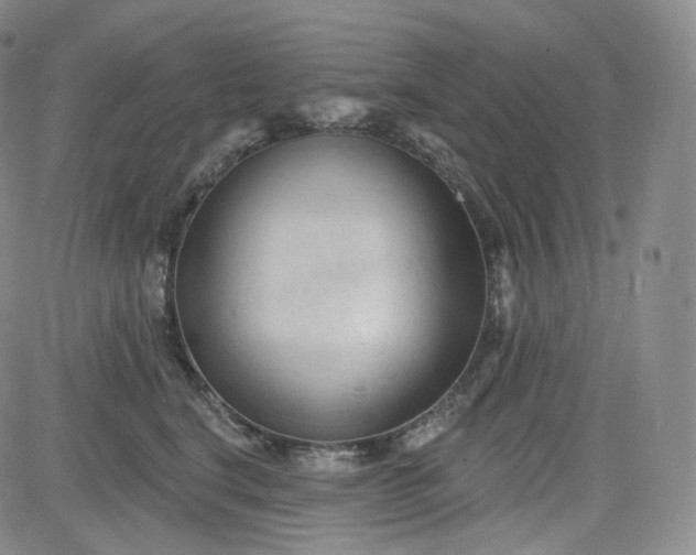 X0000083610664200702260929