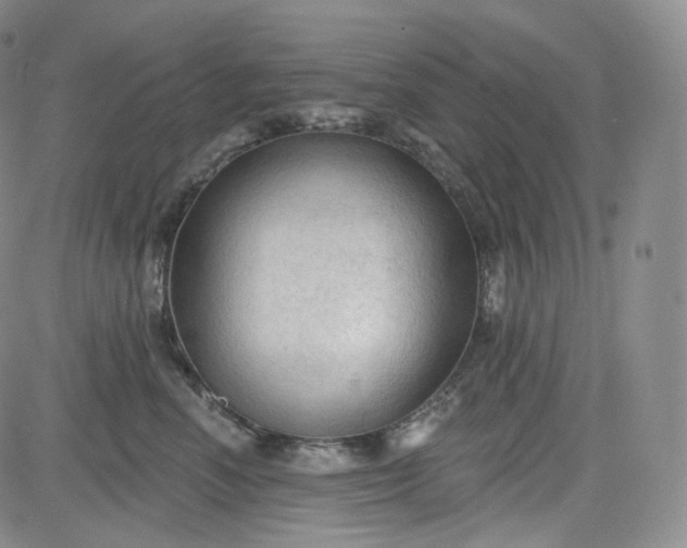 X0000083610666200702260929