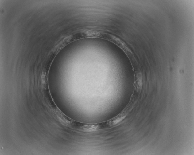 X0000083610667200702260929