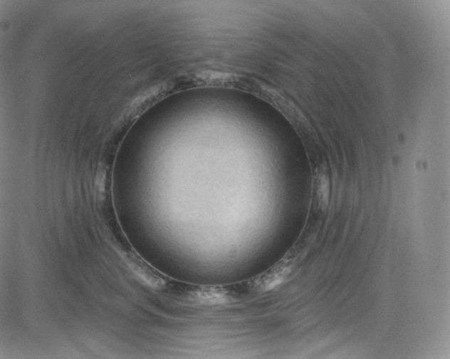 X0000083610668200702260929