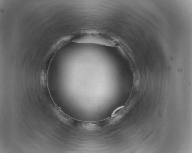 X0000083610669200702260929