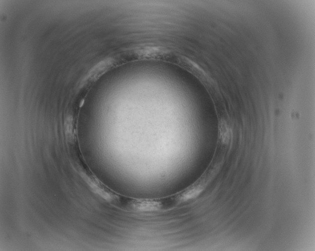 X0000083610670200702260929