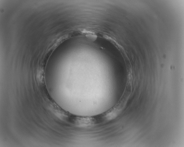 X0000083610671200702260929