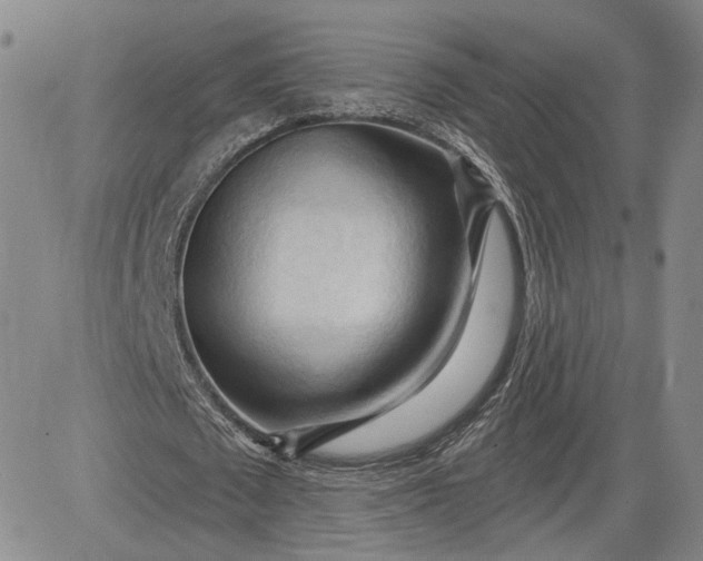 X0000083610673200702260928