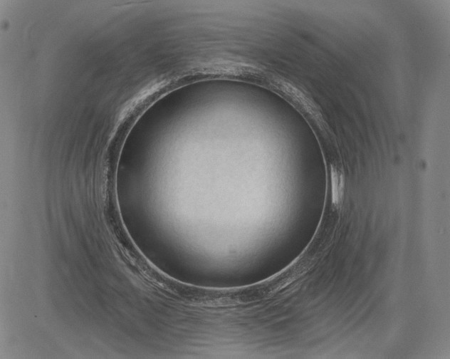 X0000083610675200702260928