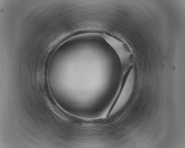 X0000083610677200702260928