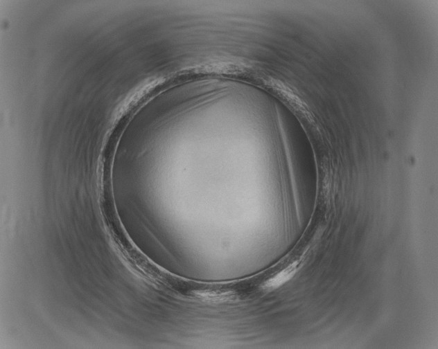 X0000083610678200702260928