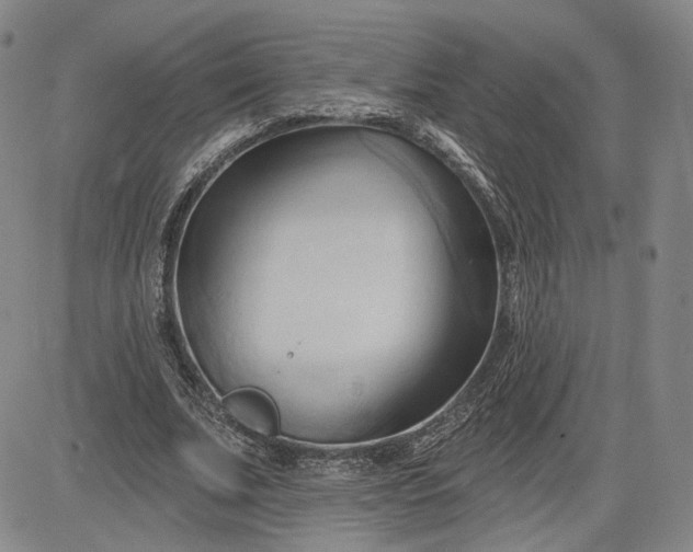 X0000083610679200702260928