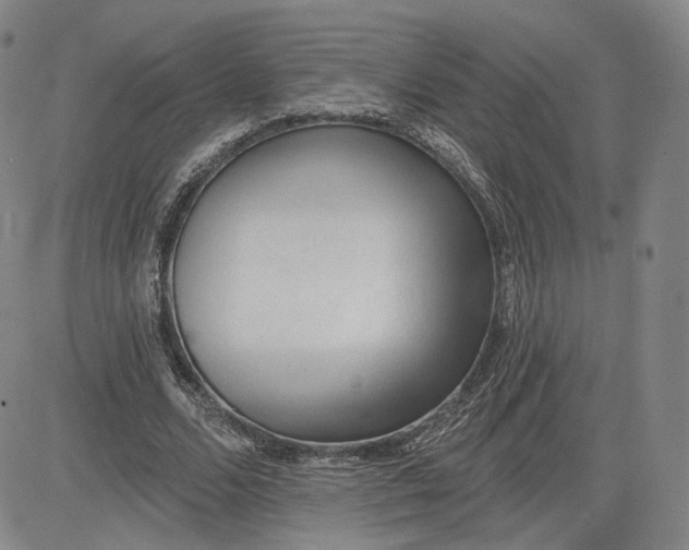 X0000083610680200702260928