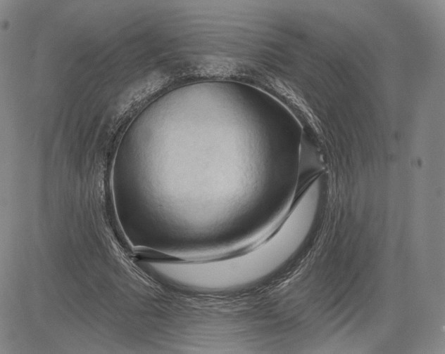 X0000083610681200702260928