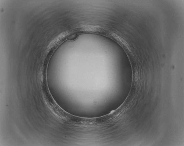 X0000083610682200702260928