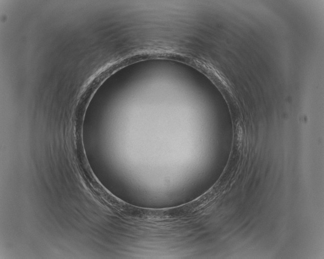 X0000083610684200702260928