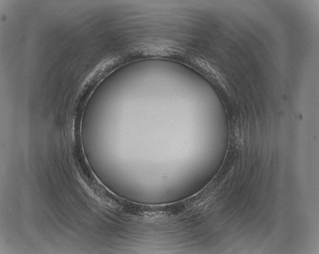 X0000083610686200702260928