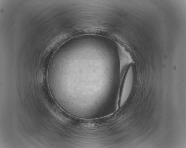 X0000083610687200702260928