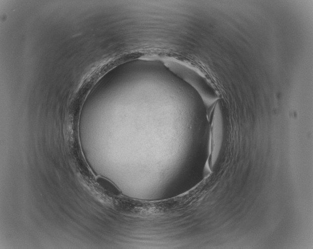 X0000083610688200702260928