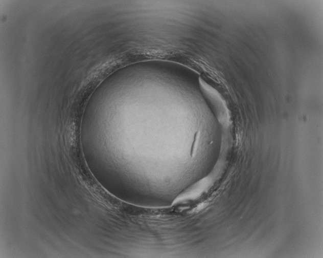 X0000083610689200702260928