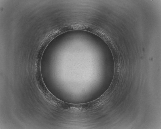 X0000083610690200702260928