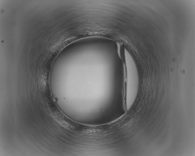 X0000083610691200702260928