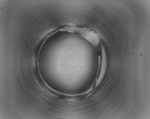 X0000083610692200702260928