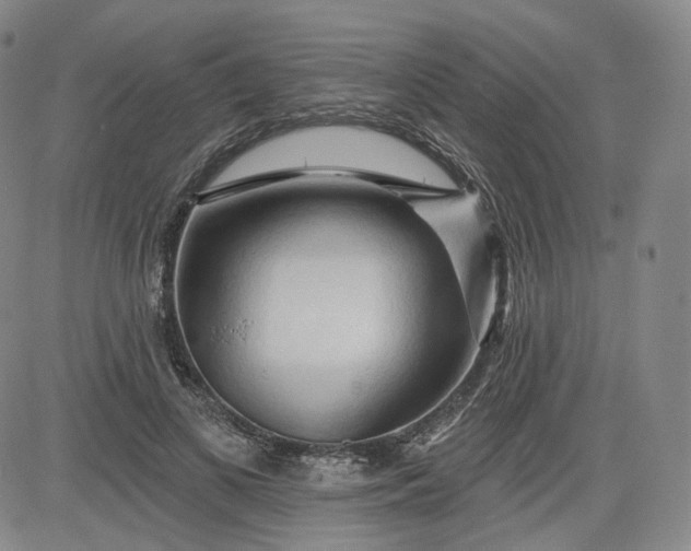 X0000083610693200702260928